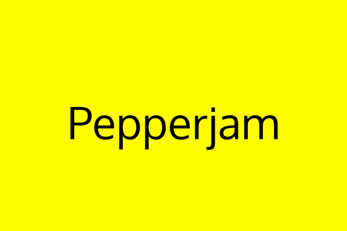 Technology Solutions Firm Pepperjam