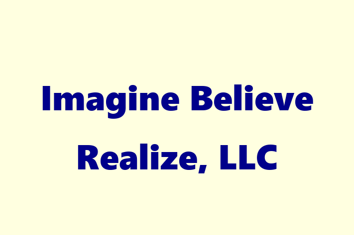 Technology Company Imagine Believe Realize LLC