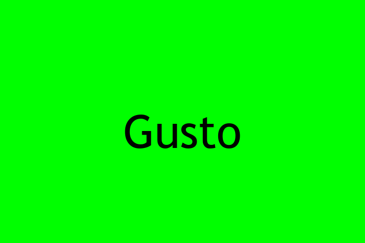 Digital Solutions Provider Gusto