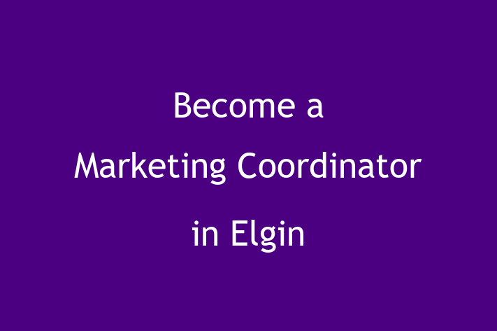 Become a Marketing Coordinator in Elgin