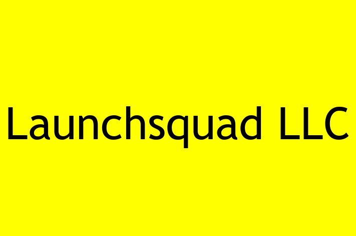 Software Solutions Provider Launchsquad LLC