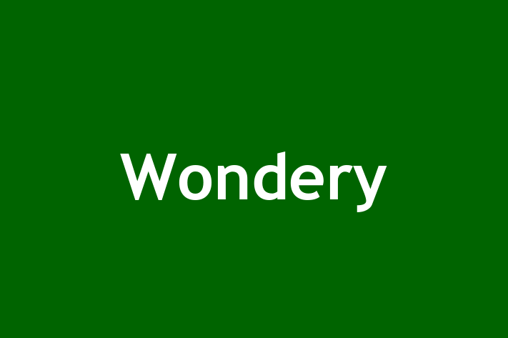 Software Services Company Wondery