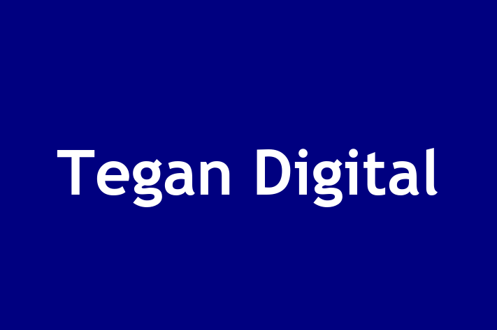 Software Services Company Tegan Digital