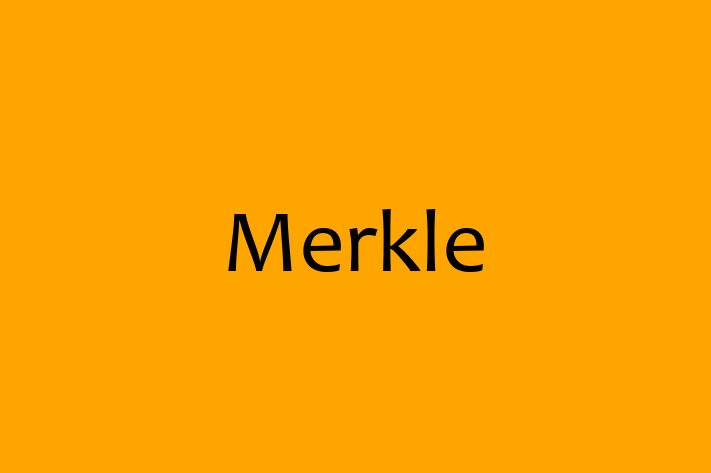 Technology Company Merkle