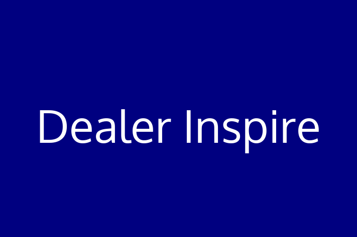 Software Engineering Company Dealer Inspire