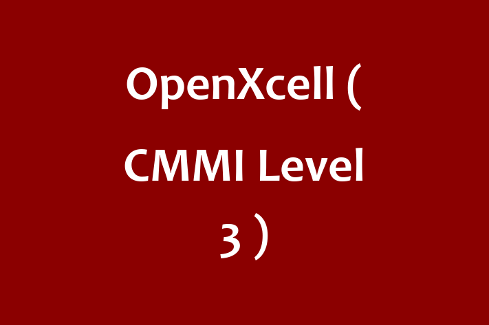 Software Engineering Company OpenXcell CMMI Level 3 