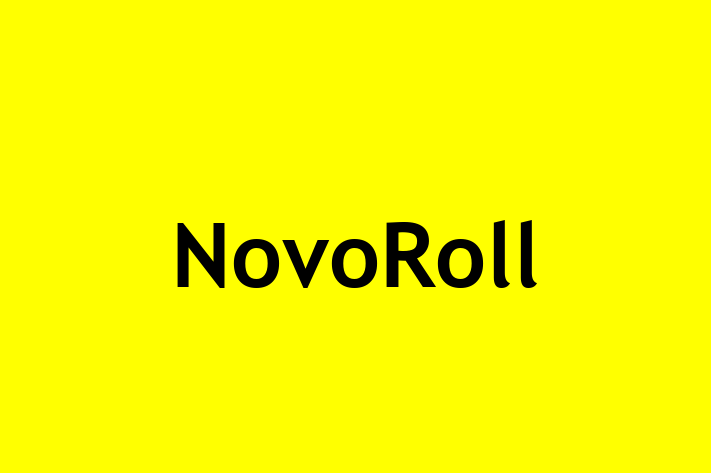 Technology Solutions Firm NovoRoll