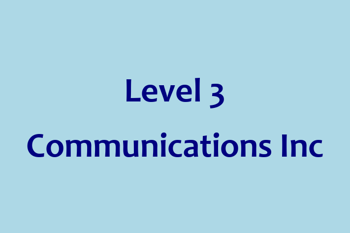 Digital Solutions Provider Level 3 Communications Inc