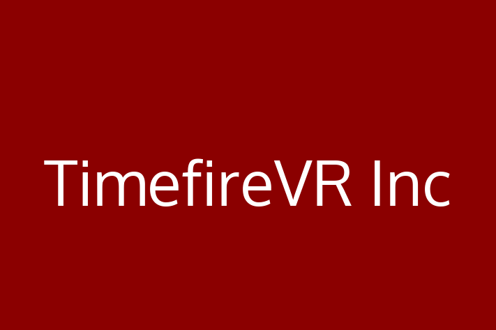 IT Company TimefireVR Inc