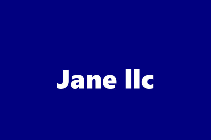 Software Development Firm Jane llc