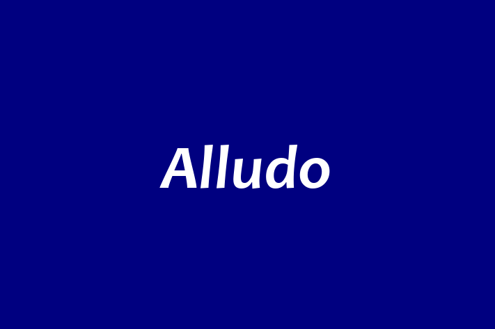 Human Resource Management Alludo