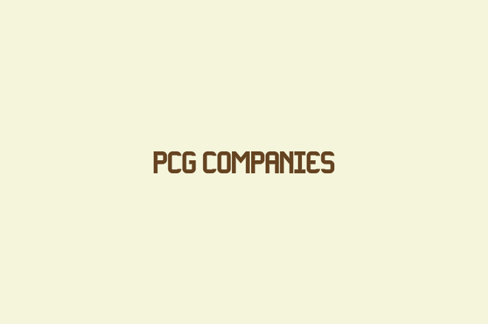 Tech Firm PCG Companies