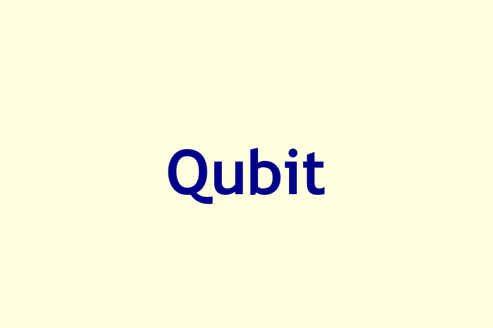 Software Firm Qubit