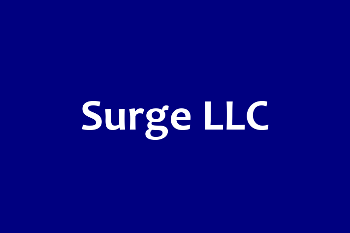 Software Solutions Provider Surge LLC