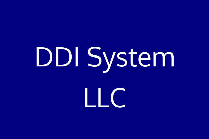 Tech Firm DDI System LLC