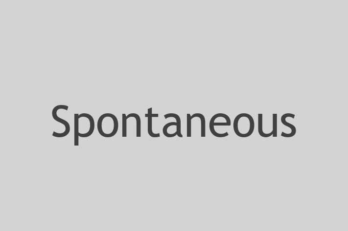 Software Development Company Spontaneous