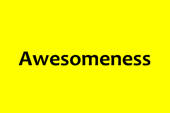 Software Solutions Provider Awesomeness