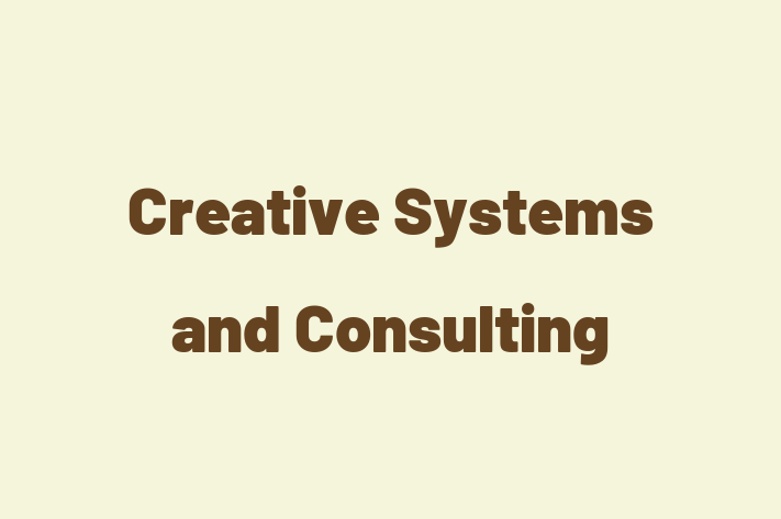 Software Engineering Company Creative Systems and Consulting