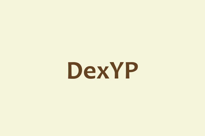 Tech Solutions Company DexYP