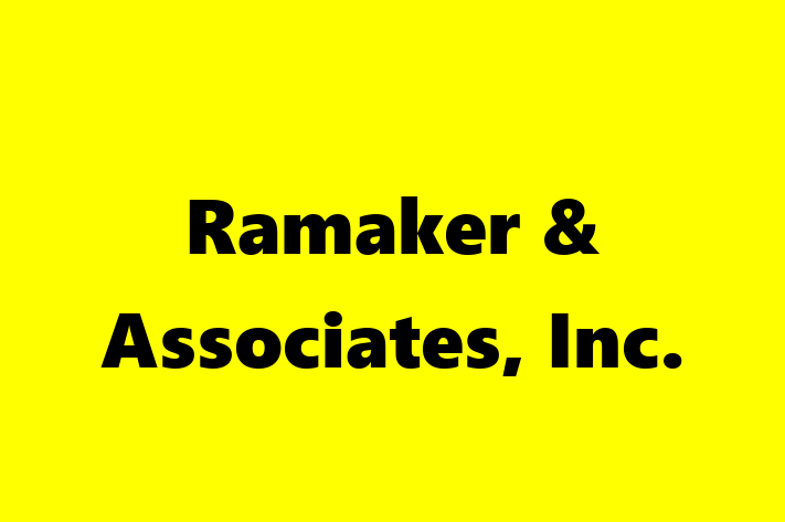 Software Engineering Company Ramaker Associates Inc.