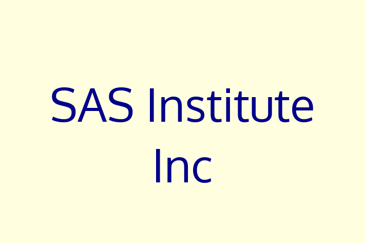 Software Consultancy SAS Institute Inc