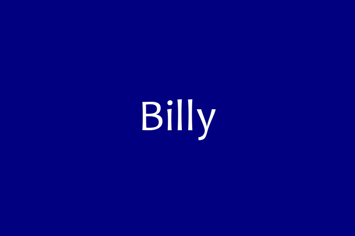 Billy Dog in Grand Prairie