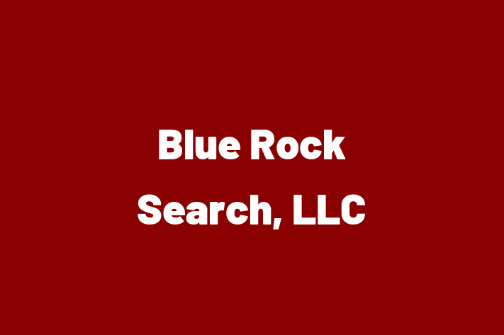 HR Administration Blue Rock Search LLC