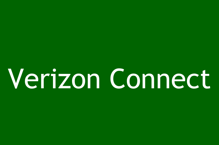 Software Services Company Verizon Connect