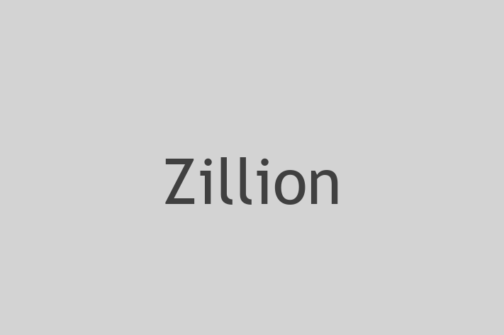 Technology Company Zillion