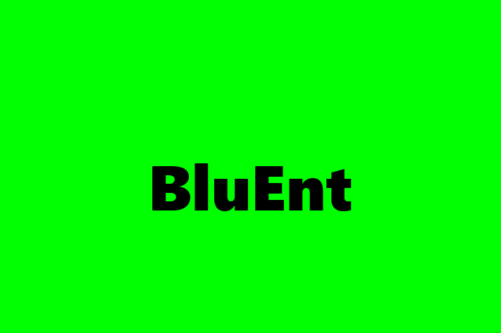 Software Consultancy BluEnt