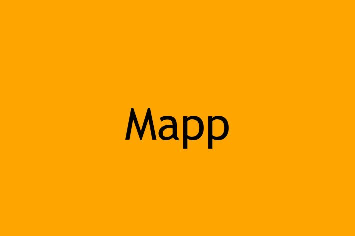 Technology Solutions Firm Mapp