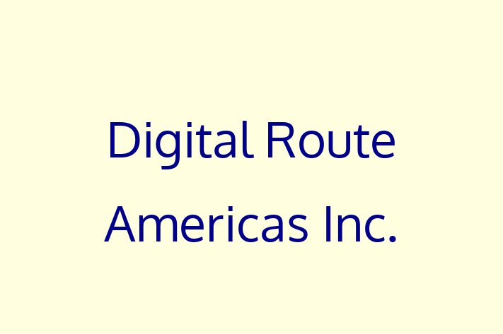 Software Firm Digital Route Americas Inc.