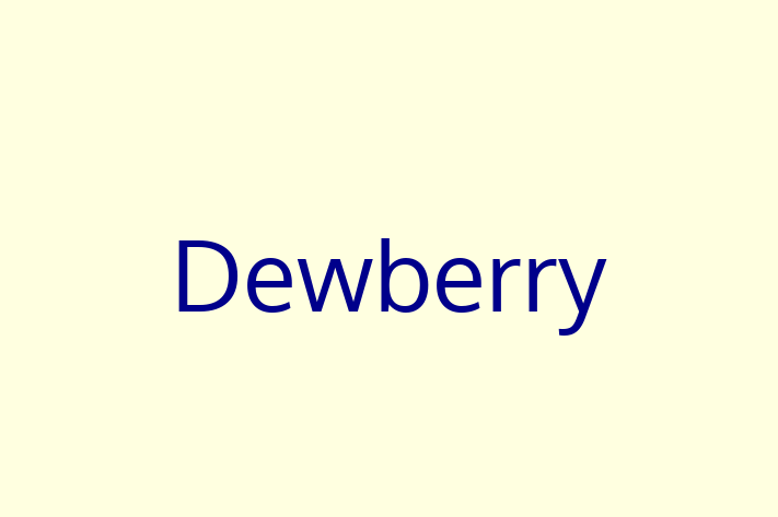 Tech Solutions Company Dewberry