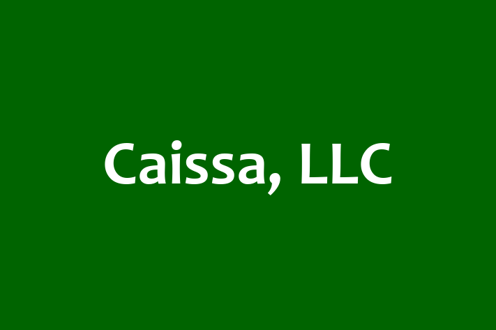 IT Company Caissa LLC