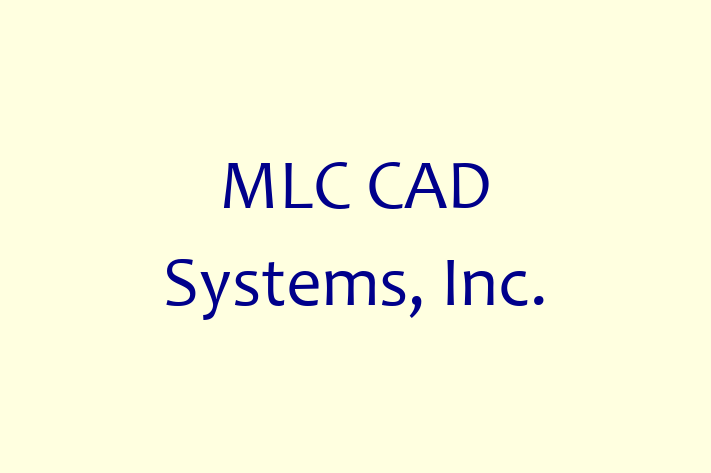 Software Consultancy MLC CAD Systems Inc.