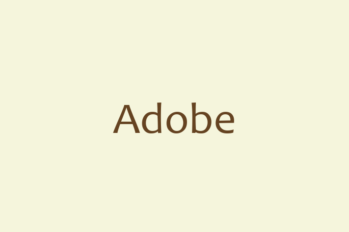 Technology Solutions Firm Adobe