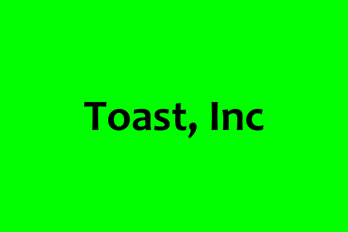 Digital Solutions Provider Toast Inc