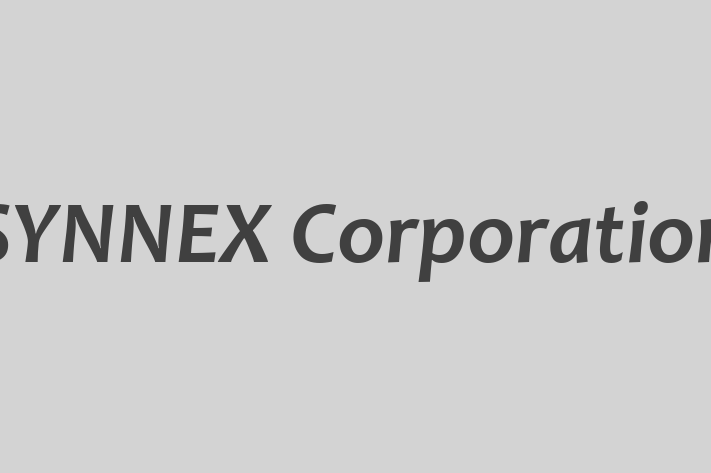 Application Development Company SYNNEX Corporation