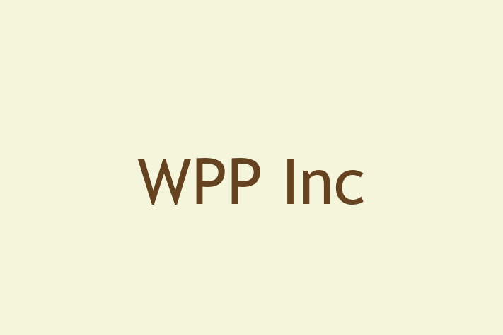 Technology Solutions Firm WPP Inc