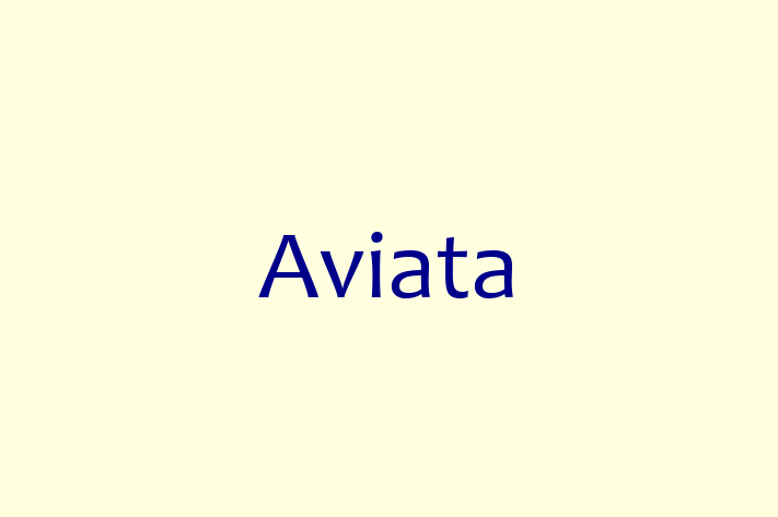 Digital Solutions Provider Aviata