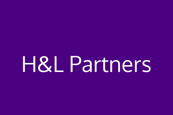 Software Development Firm HL Partners