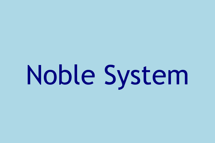 Software Services Company Noble System