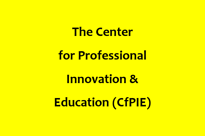 Software Consultancy The Center for Professional Innovation  Education CfPIE