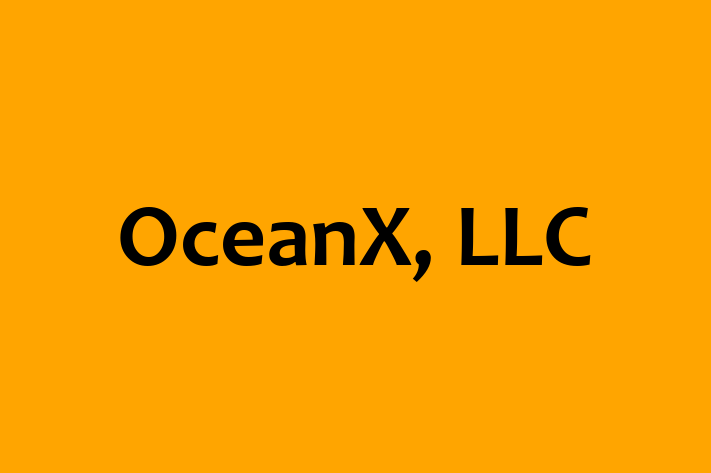 Technology Solutions Firm OceanX LLC