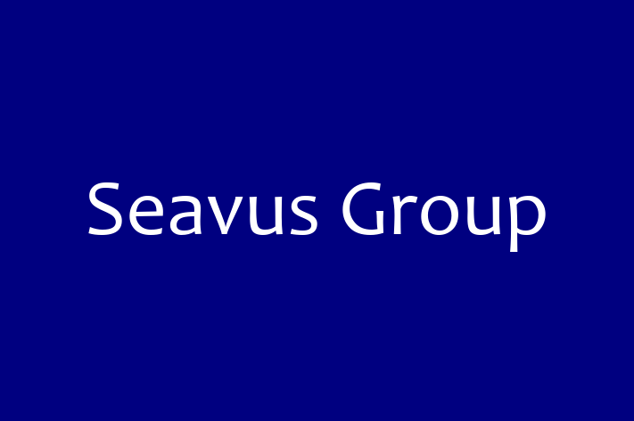 Technology Solutions Firm Seavus Group