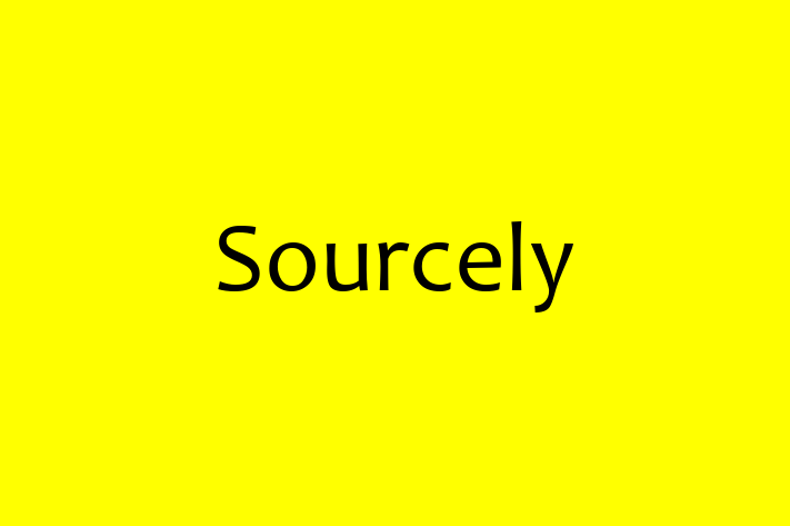 Technology Company Sourcely