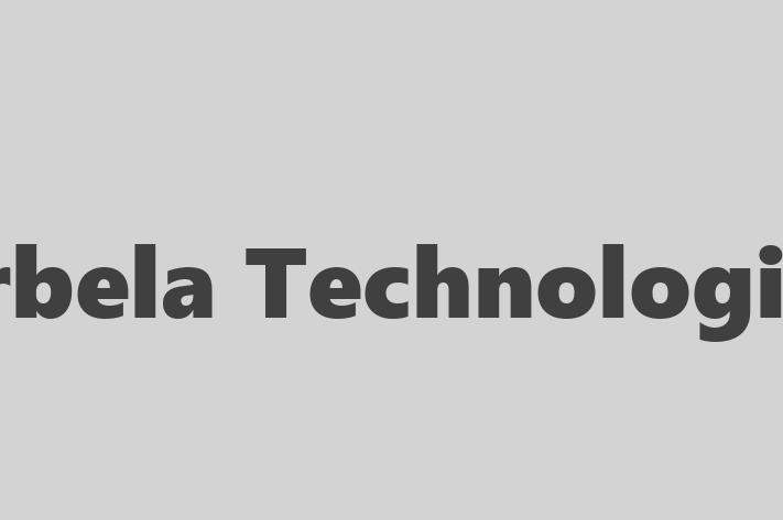 Software Engineering Company Arbela Technologies