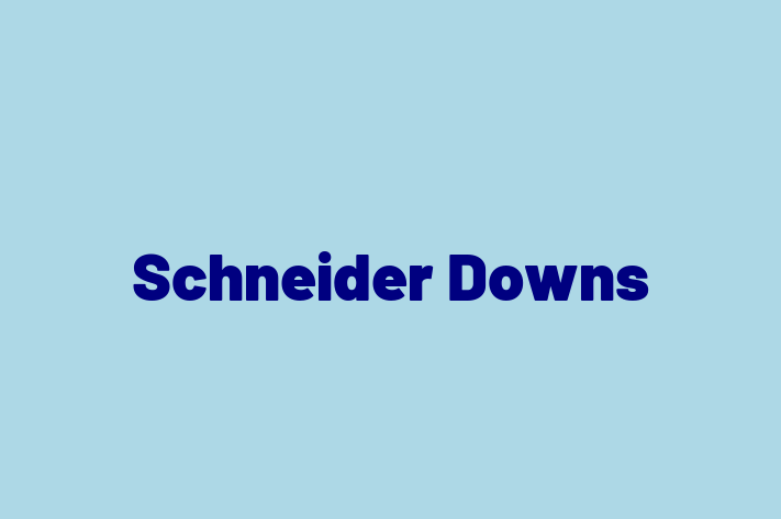 Labor Relations Schneider Downs