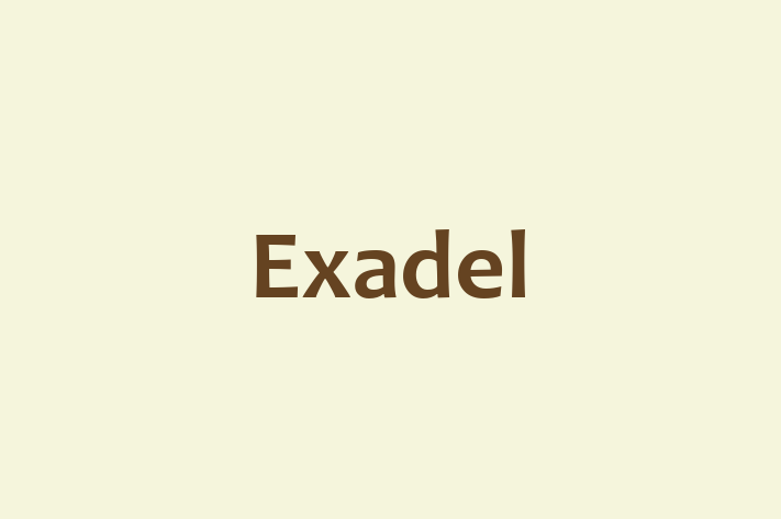 Tech Firm Exadel