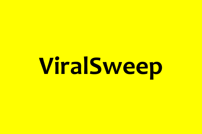 Software Consultancy ViralSweep